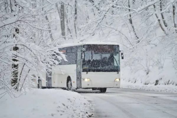 Snow's Impact on Flights and Buses