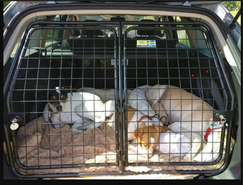 Benefits of Crating Your Dog While Traveling