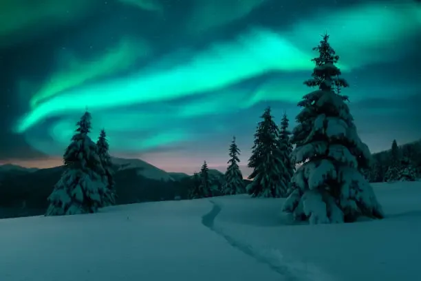 Visit Lapland to See Northern Lights