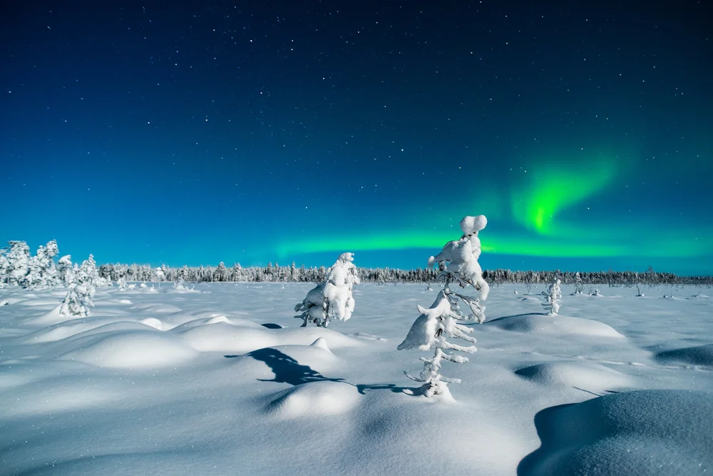 Winter Wonderland