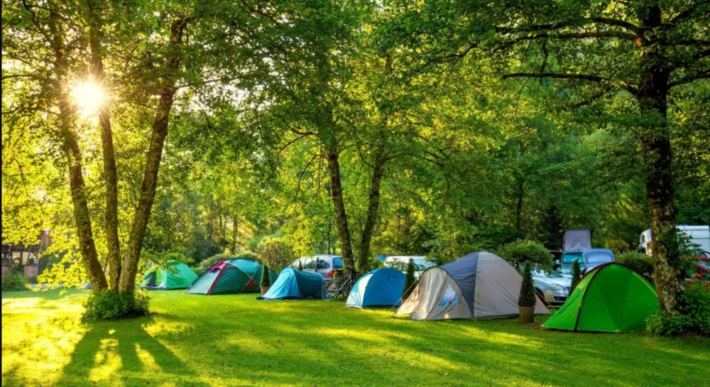 Camping in the Heart of Nature