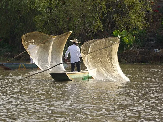 Fishing in Tranquil Waters