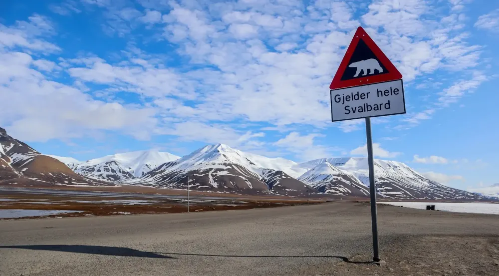 Svalbard's Remote Charm