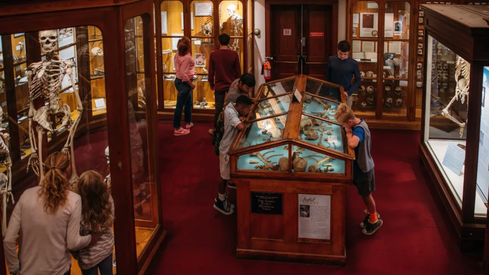 The Tiny Hidden Museums and Curiosities