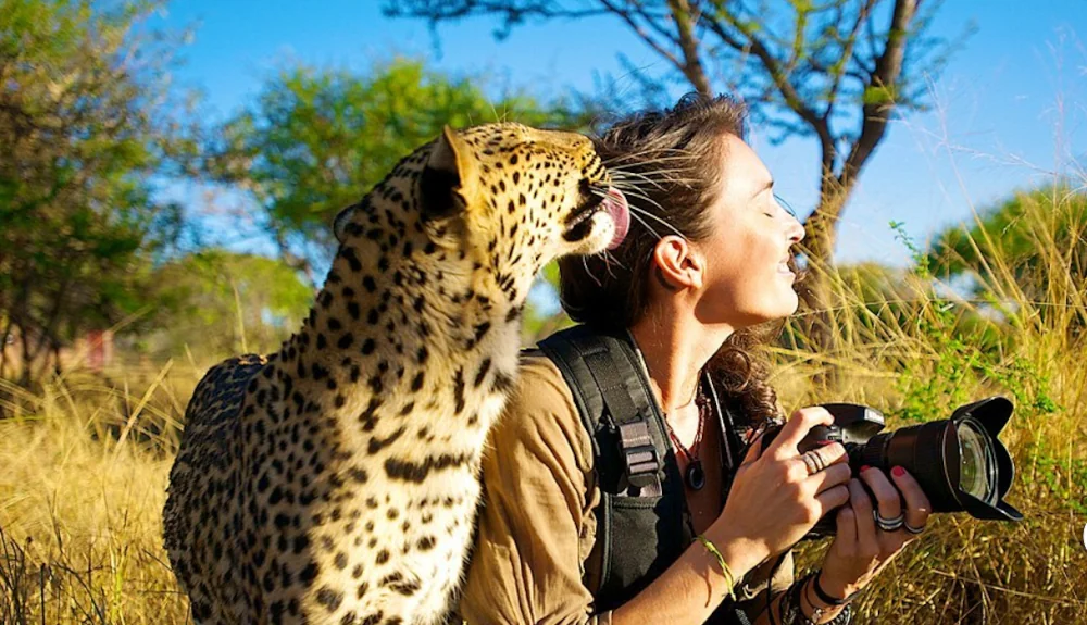 Wildlife Watching and Photography